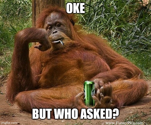 who asked | OKE BUT WHO ASKED? | image tagged in who asked | made w/ Imgflip meme maker