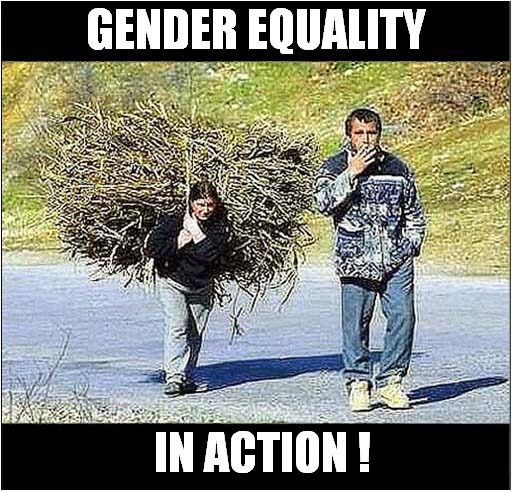 Put Your Back Into It, Love ... | GENDER EQUALITY; IN ACTION ! | image tagged in gender equality,heavy breathing | made w/ Imgflip meme maker