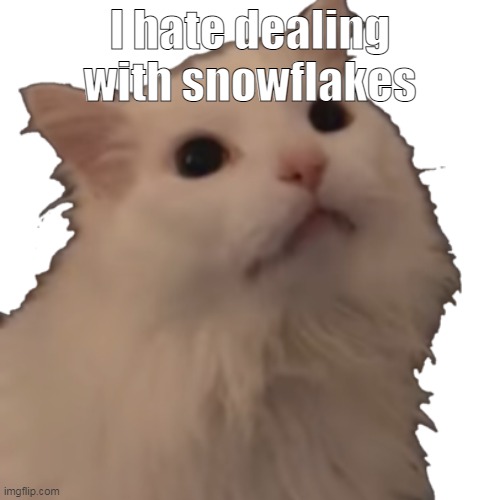 Don't we all? | I hate dealing with snowflakes | image tagged in transparent thurston waffles | made w/ Imgflip meme maker