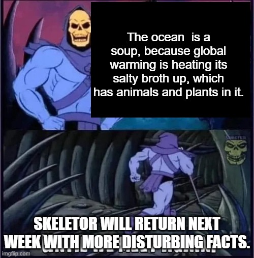 Until we meet again. | The ocean  is a soup, because global warming is heating its salty broth up, which has animals and plants in it. SKELETOR WILL RETURN NEXT WEEK WITH MORE DISTURBING FACTS. | image tagged in until we meet again | made w/ Imgflip meme maker