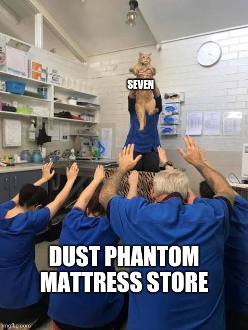 Well, they use her for advertising and stuff but they allow her to sleep in the store | SEVEN; DUST PHANTOM MATTRESS STORE | image tagged in people worshipping the cat | made w/ Imgflip meme maker