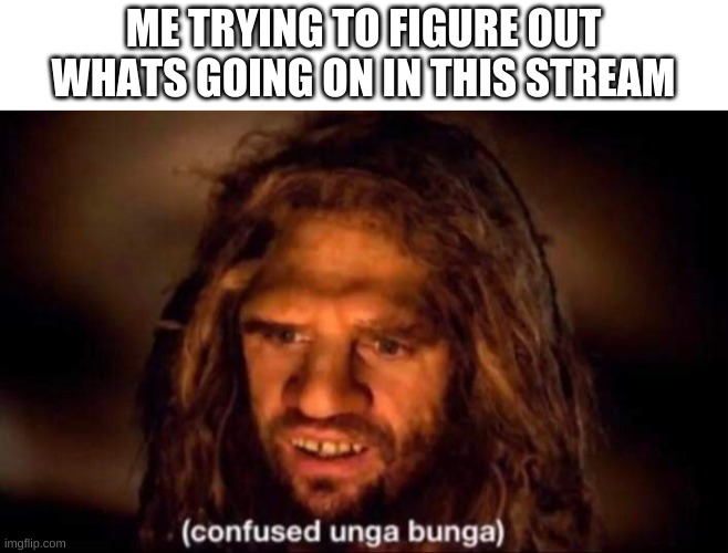 Confused Unga Bunga | ME TRYING TO FIGURE OUT WHATS GOING ON IN THIS STREAM | image tagged in confused unga bunga | made w/ Imgflip meme maker
