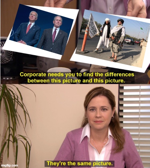 Dayumn. Roasted | image tagged in memes,they're the same picture | made w/ Imgflip meme maker