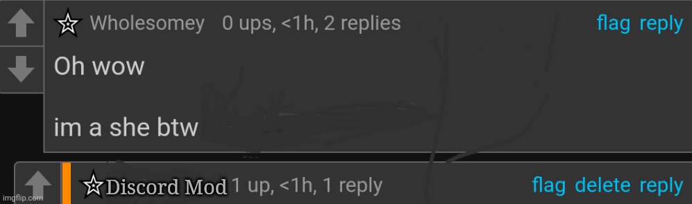 I spent way too much time making this | Discord Mod | made w/ Imgflip meme maker