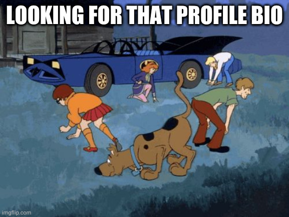No Profile Bio | LOOKING FOR THAT PROFILE BIO | image tagged in scooby doo search,datingapps,dating,no bio,profile | made w/ Imgflip meme maker