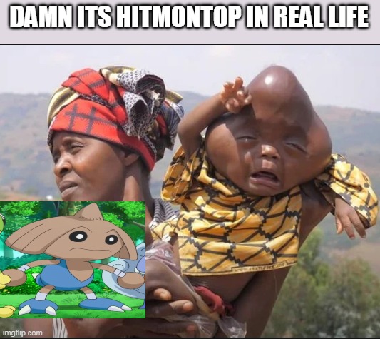 oof | DAMN ITS HITMONTOP IN REAL LIFE | image tagged in dark,funny,offensive | made w/ Imgflip meme maker