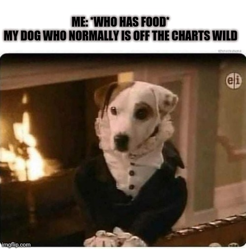 Yes |  ME: *WHO HAS FOOD*
MY DOG WHO NORMALLY IS OFF THE CHARTS WILD | image tagged in dog,food week,hungry pizza dog,beggar | made w/ Imgflip meme maker