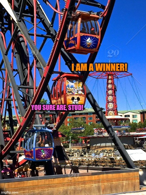 Tails and Rouge in the ferris wheel | I AM A WINNER! YOU SURE ARE, STUD! | image tagged in disneyland,rouge the bat,tails the fox,date,ride,ferris wheel | made w/ Imgflip meme maker