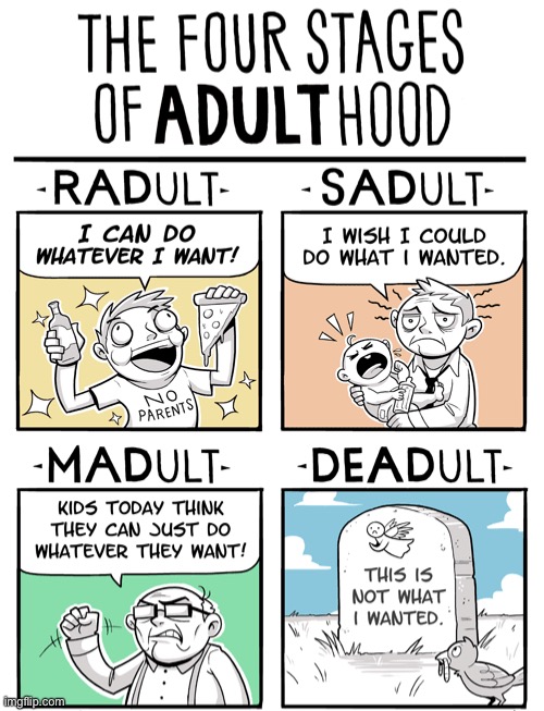 this is true | image tagged in comics/cartoons,funny,adulthood,stages,so true memes | made w/ Imgflip meme maker