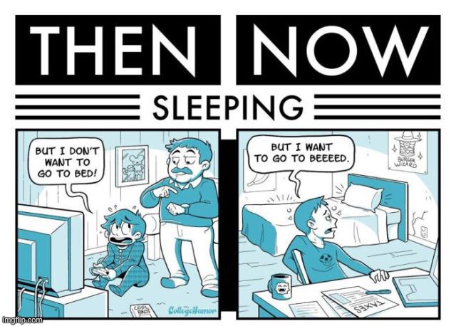 You don’t even need to be an adult to know this is true lol | image tagged in funny,comics/cartoons,so true memes,sleep | made w/ Imgflip meme maker
