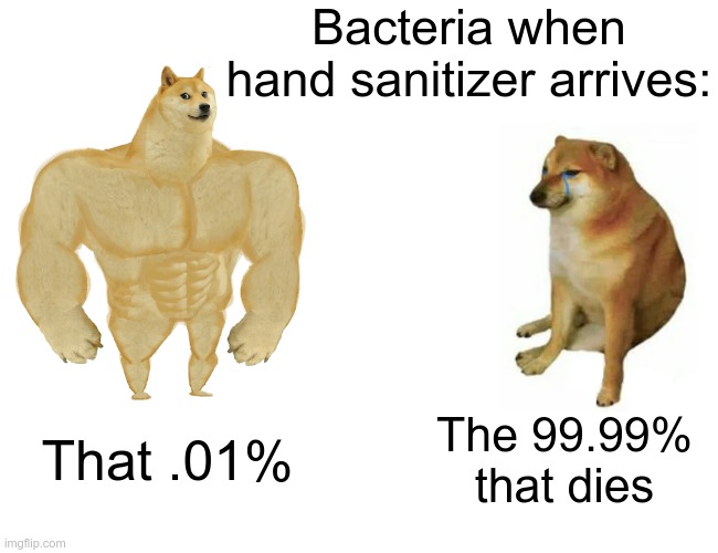 Buff Doge vs. Cheems | Bacteria when hand sanitizer arrives:; That .01%; The 99.99% that dies | image tagged in memes,buff doge vs cheems,doge,hand sanitizer | made w/ Imgflip meme maker
