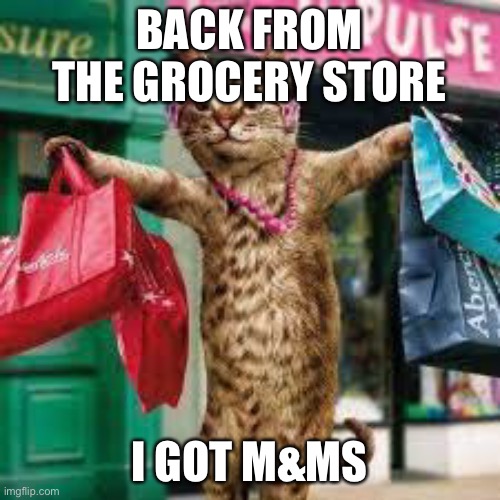 Cat shopping | BACK FROM THE GROCERY STORE; I GOT M&MS | image tagged in cat shopping | made w/ Imgflip meme maker