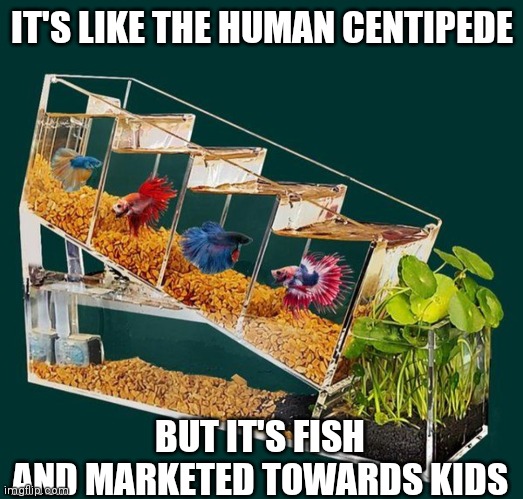 Task failed successfully | IT'S LIKE THE HUMAN CENTIPEDE; BUT IT'S FISH
AND MARKETED TOWARDS KIDS | image tagged in fish,what a terrible day to have eyes,high expectations asian father,picard wtf and facepalm combined,why am i in hell | made w/ Imgflip meme maker