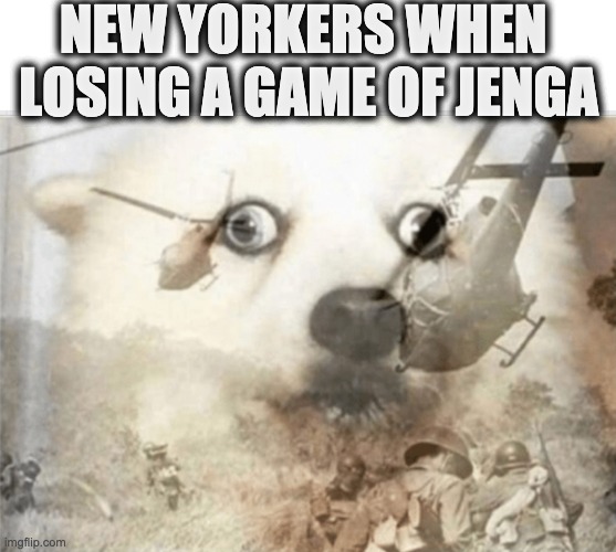 New Yorkers Losing Jenga Dog | NEW YORKERS WHEN 
LOSING A GAME OF JENGA | image tagged in ptsd dog | made w/ Imgflip meme maker