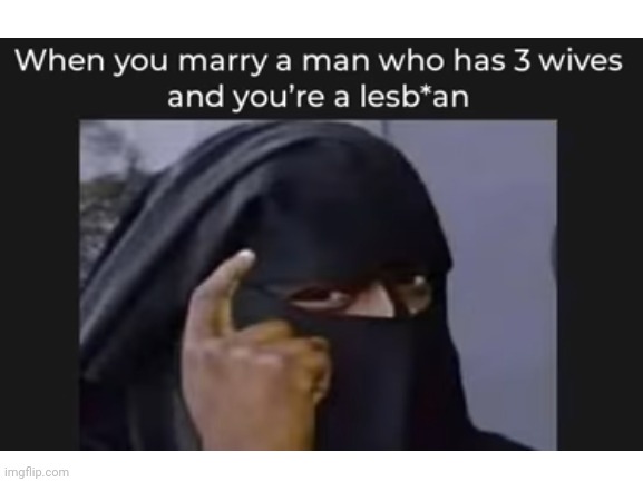 There is a bug in the program banning homosexuality in Islam. | image tagged in muslim,polygamy,lesbians | made w/ Imgflip meme maker