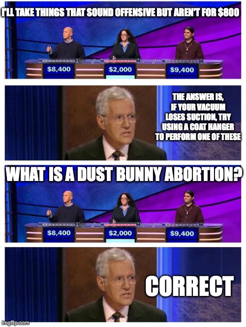 I'LL TAKE THINGS THAT SOUND OFFENSIVE BUT AREN'T FOR $800; THE ANSWER IS, IF YOUR VACUUM LOSES SUCTION, TRY USING A COAT HANGER TO PERFORM ONE OF THESE; WHAT IS A DUST BUNNY ABORTION? CORRECT | image tagged in jeopardy | made w/ Imgflip meme maker