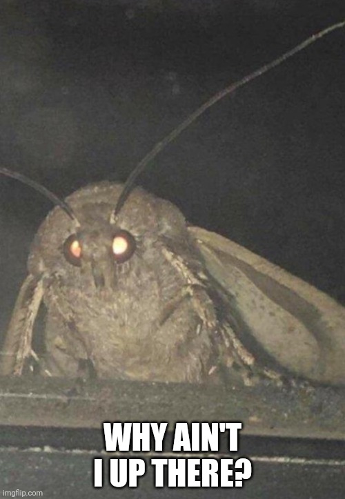 Moth | WHY AIN'T I UP THERE? | image tagged in moth | made w/ Imgflip meme maker