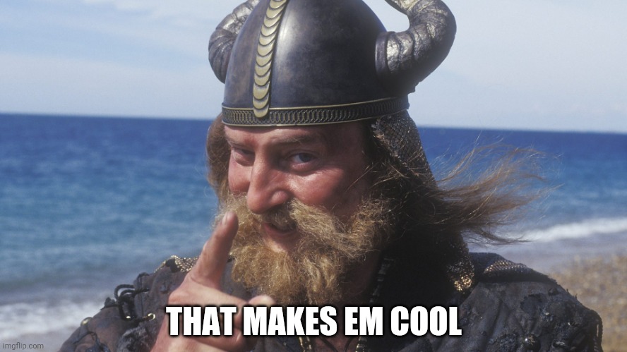 HELL YES VIKING | THAT MAKES EM COOL | image tagged in hell yes viking | made w/ Imgflip meme maker