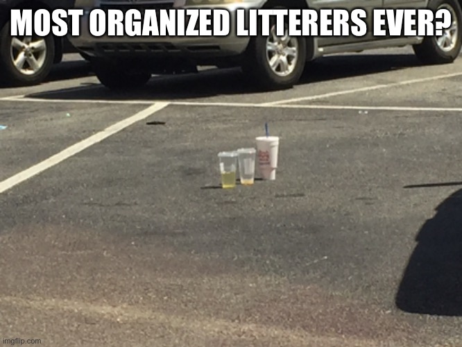 Umm, ok |  MOST ORGANIZED LITTERERS EVER? | image tagged in litter,confused,trash,parking lot,funny,memes | made w/ Imgflip meme maker