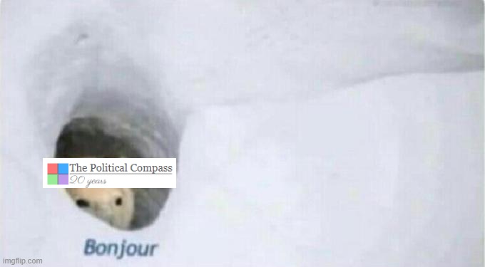 Stream rn | image tagged in bonjour bear | made w/ Imgflip meme maker