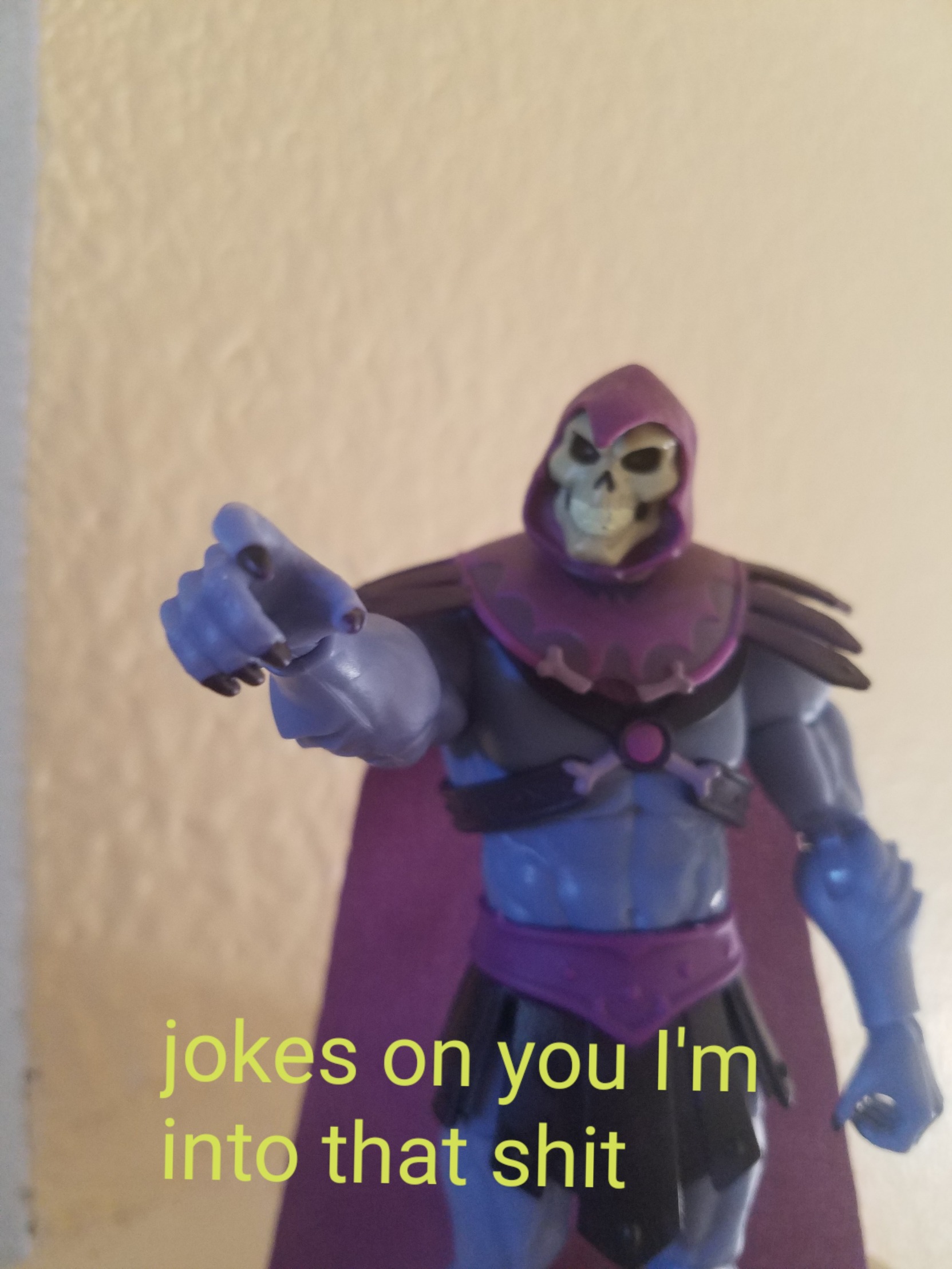 Skeletor action figure jokes on you I'm into that Blank Meme Template