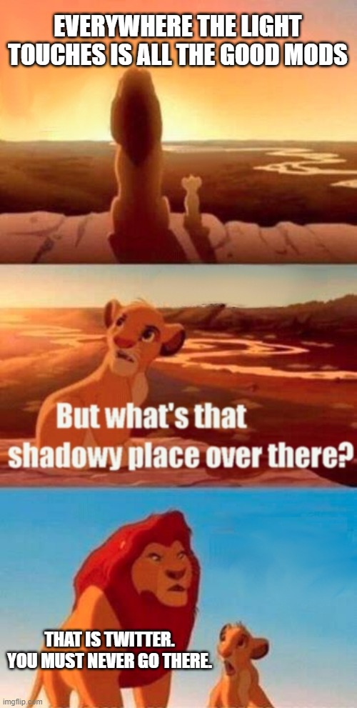 lol | EVERYWHERE THE LIGHT TOUCHES IS ALL THE GOOD MODS; THAT IS TWITTER. YOU MUST NEVER GO THERE. | image tagged in memes,simba shadowy place,mods,fnf,twitter | made w/ Imgflip meme maker