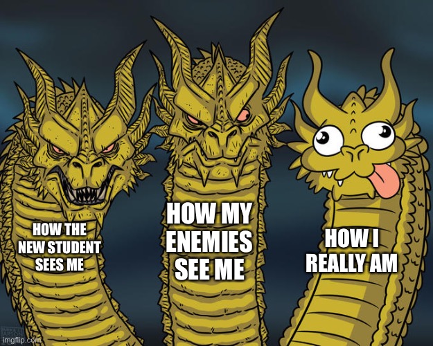 Me- | HOW MY ENEMIES SEE ME; HOW THE NEW STUDENT SEES ME; HOW I REALLY AM | image tagged in three-headed dragon | made w/ Imgflip meme maker