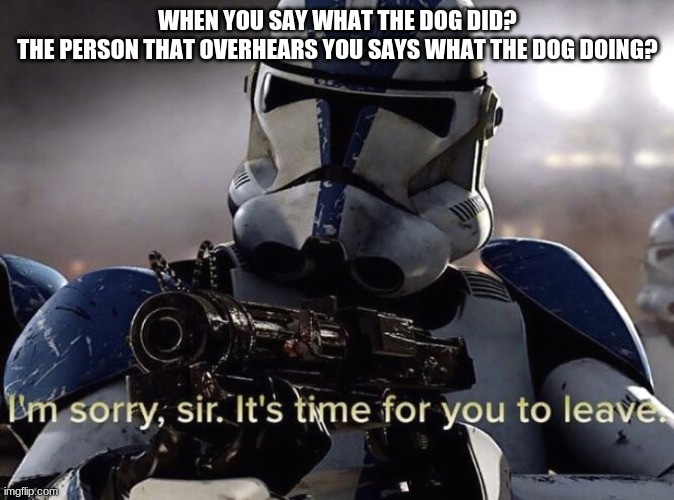 What the dog doing | WHEN YOU SAY WHAT THE DOG DID?
THE PERSON THAT OVERHEARS YOU SAYS WHAT THE DOG DOING? | image tagged in gifs,dogs | made w/ Imgflip meme maker