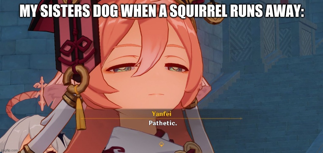 Pathetic. | MY SISTERS DOG WHEN A SQUIRREL RUNS AWAY: | image tagged in genshin impact,true | made w/ Imgflip meme maker