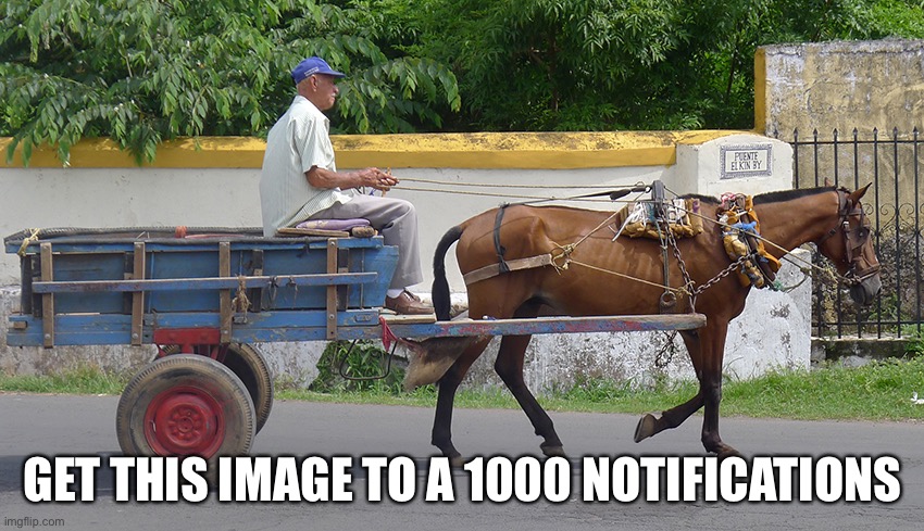 Horse and buggy | GET THIS IMAGE TO A 1000 NOTIFICATIONS | image tagged in horse and buggy | made w/ Imgflip meme maker