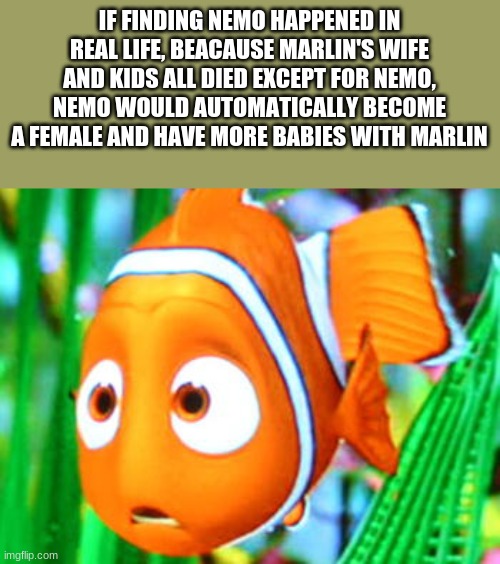 Childhood Status: Ruined | IF FINDING NEMO HAPPENED IN REAL LIFE, BEACAUSE MARLIN'S WIFE AND KIDS ALL DIED EXCEPT FOR NEMO, NEMO WOULD AUTOMATICALLY BECOME A FEMALE AND HAVE MORE BABIES WITH MARLIN | image tagged in finding nemo,eric,ruins,your,childhood | made w/ Imgflip meme maker