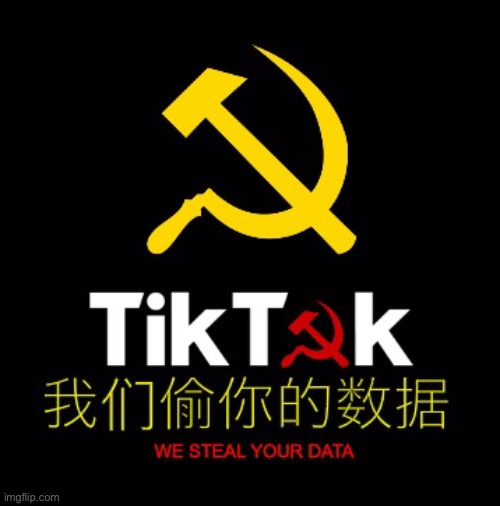 TikTok beta logo leaked (｀・∀・´) | image tagged in tiktok sucks | made w/ Imgflip meme maker