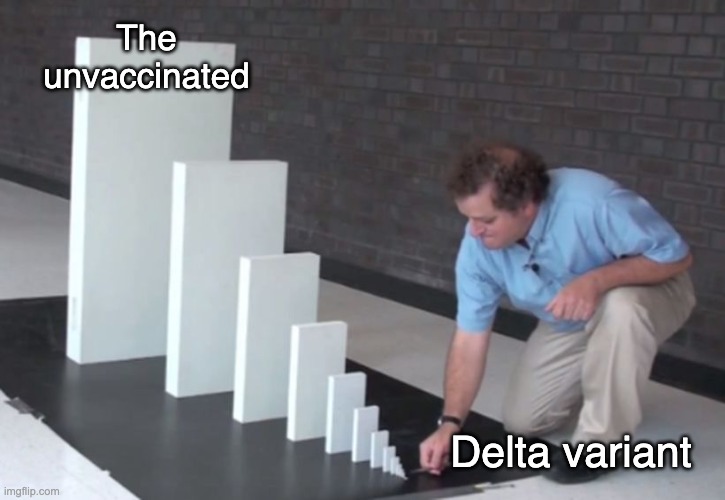Domino Effect | The unvaccinated; Delta variant | image tagged in domino effect | made w/ Imgflip meme maker