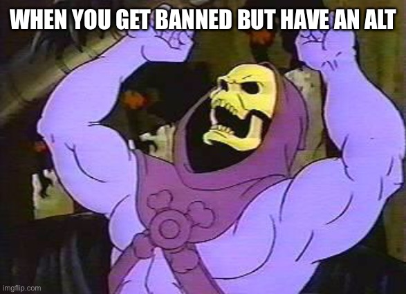 You Fool Skeletor | WHEN YOU GET BANNED BUT HAVE AN ALT | image tagged in you fool skeletor | made w/ Imgflip meme maker