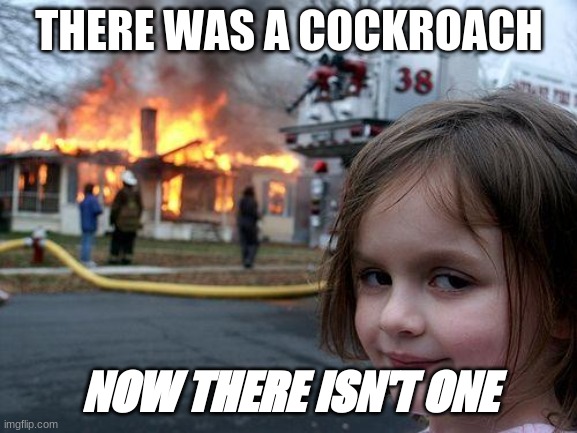 Disaster Girl | THERE WAS A COCKROACH; NOW THERE ISN'T ONE | image tagged in memes,disaster girl | made w/ Imgflip meme maker