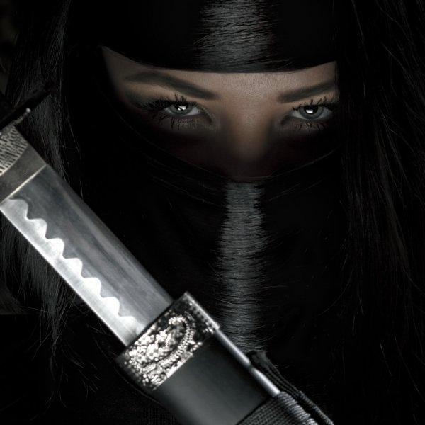 High Quality Beautiful Ninja Woman Sword Blank Meme Template