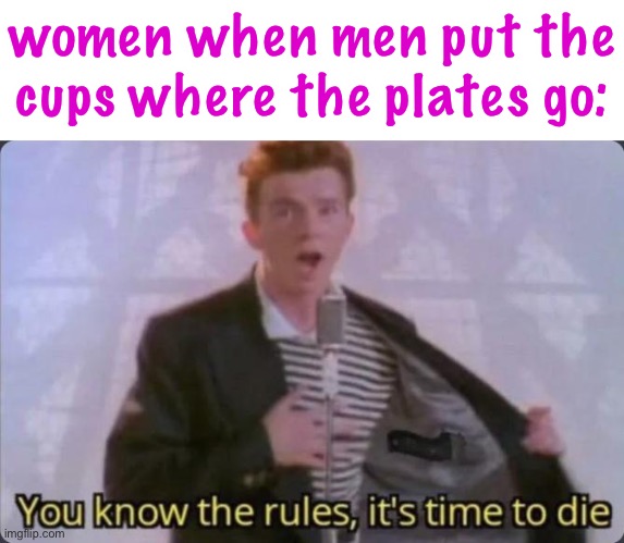 this is kinda true tho | women when men put the cups where the plates go: | image tagged in you know the rules it's time to die,funny,women,men,organized,messed up | made w/ Imgflip meme maker