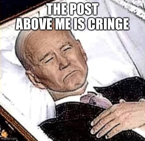 THE POST ABOVE ME IS CRINGE | image tagged in biden | made w/ Imgflip meme maker