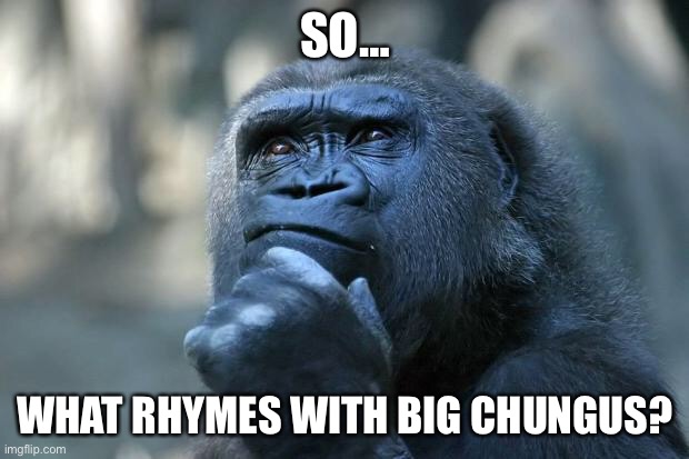 Deep Thoughts | SO…; WHAT RHYMES WITH BIG CHUNGUS? | image tagged in deep thoughts | made w/ Imgflip meme maker