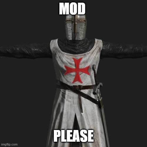 T posing crusader | MOD; PLEASE | image tagged in t posing crusader | made w/ Imgflip meme maker