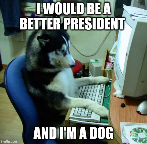 I Have No Idea What I Am Doing Meme | I WOULD BE A BETTER PRESIDENT AND I'M A DOG | image tagged in memes,i have no idea what i am doing | made w/ Imgflip meme maker
