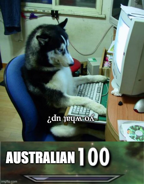 idk also I'm an American making Australian memes | yo what up? AUSTRALIAN | image tagged in memes,i have no idea what i am doing,level 100,good memes | made w/ Imgflip meme maker