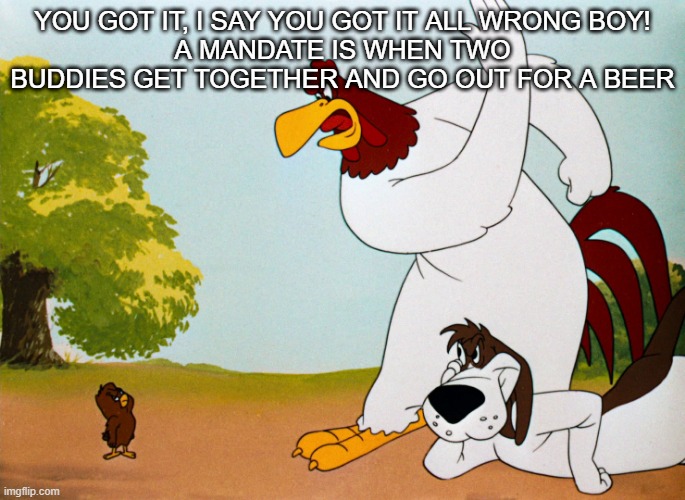 Foghorn Leghorn |  YOU GOT IT, I SAY YOU GOT IT ALL WRONG BOY!
A MANDATE IS WHEN TWO BUDDIES GET TOGETHER AND GO OUT FOR A BEER | image tagged in foghorn leghorn | made w/ Imgflip meme maker