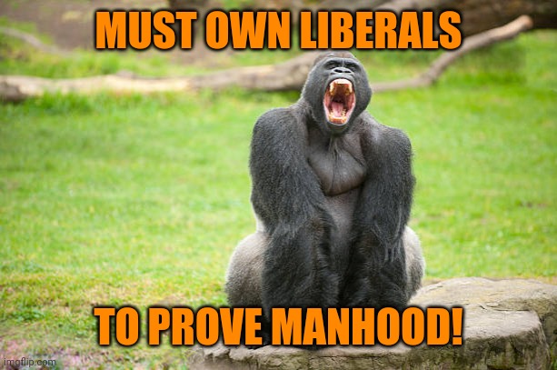 MUST OWN LIBERALS; TO PROVE MANHOOD! | made w/ Imgflip meme maker