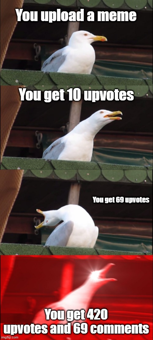 This wont happen and i know it :) | You upload a meme; You get 10 upvotes; You get 69 upvotes; You get 420 upvotes and 69 comments | image tagged in memes,inhaling seagull | made w/ Imgflip meme maker
