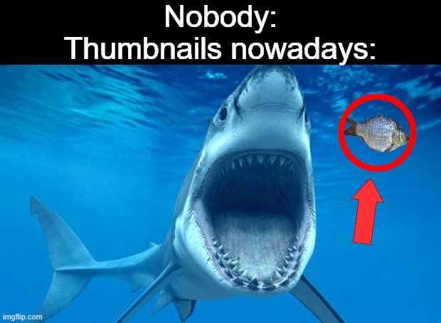"DO NOT EAT THE SACRED FISH AT 3 AM (OMG I ALMOST DIED)" | Nobody:
Thumbnails nowadays: | image tagged in shark open mouth,memes,thumbnails,thumbnail,misleading | made w/ Imgflip meme maker