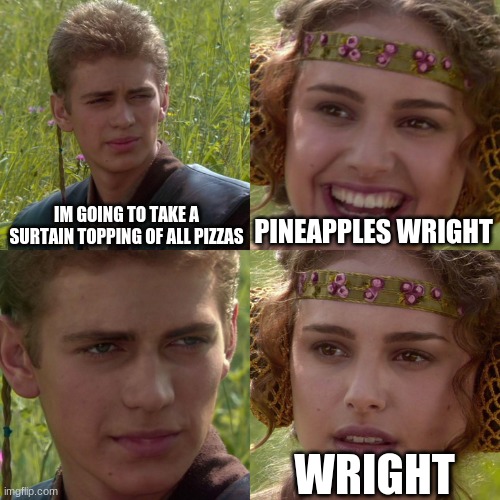 Anakin Padme 4 Panel | IM GOING TO TAKE A SURTAIN TOPPING OF ALL PIZZAS; PINEAPPLES WRIGHT; WRIGHT | image tagged in anakin padme 4 panel | made w/ Imgflip meme maker