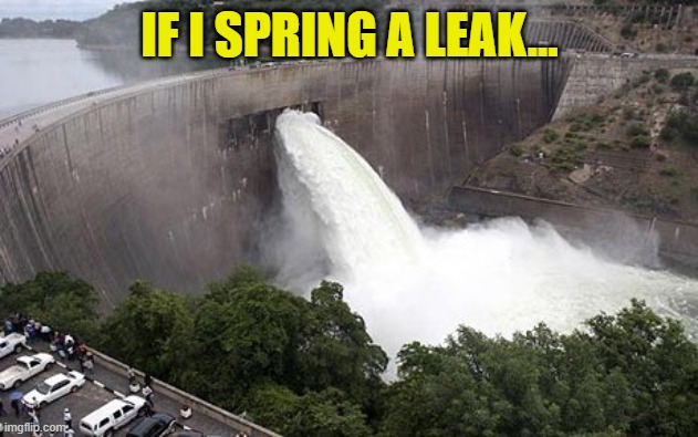 Floodgate | IF I SPRING A LEAK... | image tagged in floodgate | made w/ Imgflip meme maker