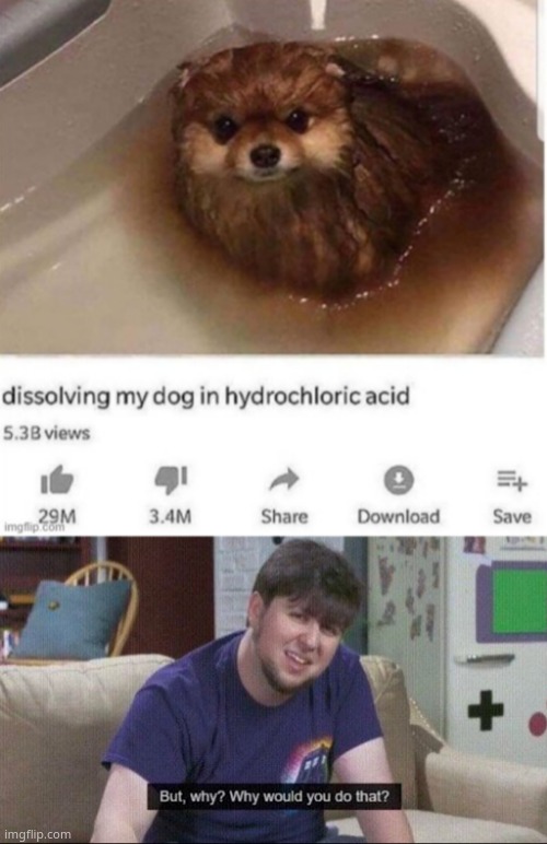 image tagged in but why why would you do that | made w/ Imgflip meme maker