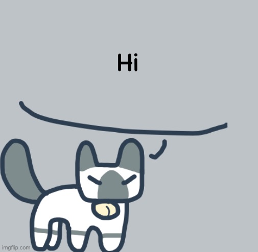 Cat | Hi | image tagged in cat | made w/ Imgflip meme maker